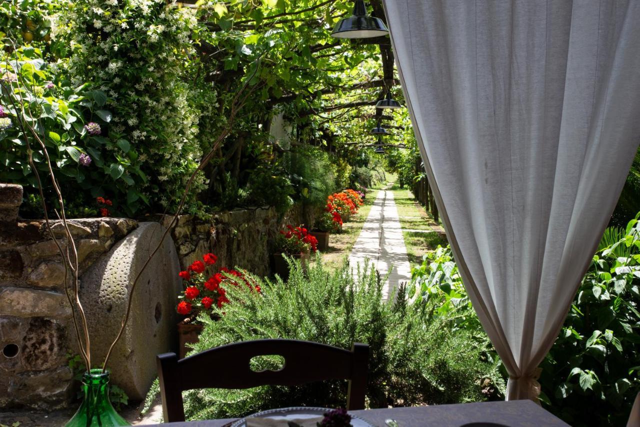 Agriturismo Il Convento Massa Lubrense Ngoại thất bức ảnh